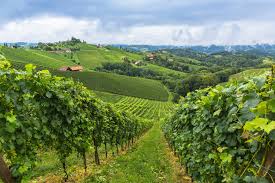 Steirische Weinstrasse